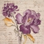 Picture of LILAC BEAUTY II