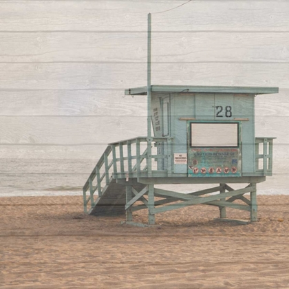 Picture of LIFE GUARD WHITE WASH