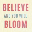 Picture of IMAGINE BELIEVE DREAM II