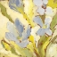 Picture of BEGONIA BLEU I