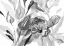 Picture of DARK FLORALS