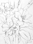 Picture of FLORAL SKETCH I