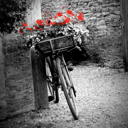 Picture of FLOWER BIKE SQUARE