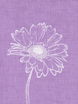 Picture of PURPLE DAISIES I