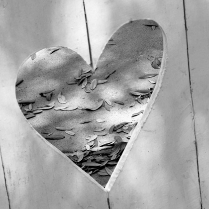 Picture of B-W HEART FULL OF LOVE