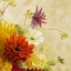 Picture of EARLY BLOOMERS I