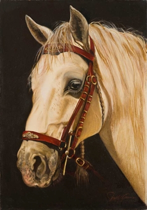 Picture of HORSE