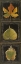 Picture of THREE LEAVES I