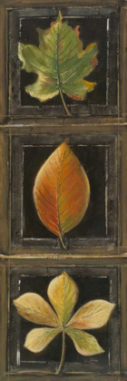Picture of THREE LEAVES II