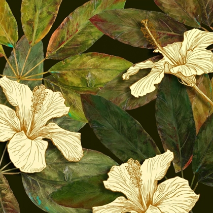 Picture of HIBISCUS LEAVES I