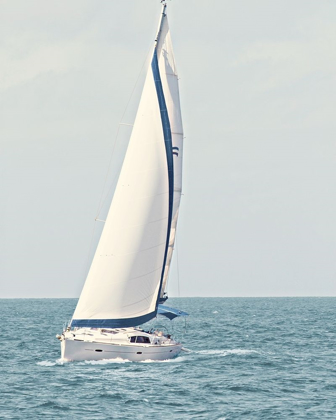 Picture of SAILBOAT IN THE OCEAN