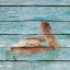 Picture of WOOD PELICAN II