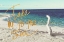 Picture of BEACH PLEASE II