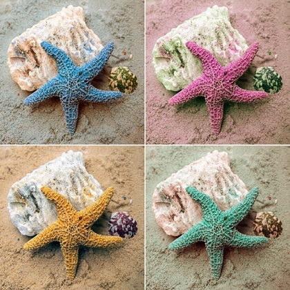 Picture of COLORFUL STARFISH