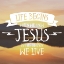 Picture of LIFE BEGINS
