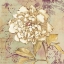 Picture of SWEET FRAGRANCE II