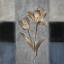 Picture of TULIPS IN BLUE II