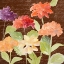 Picture of FRAGRANT GARDEN ON BROWN II