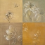 Picture of FLOWERS OF THE NIGHT II