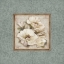 Picture of SILVERSAGE FLOWER II