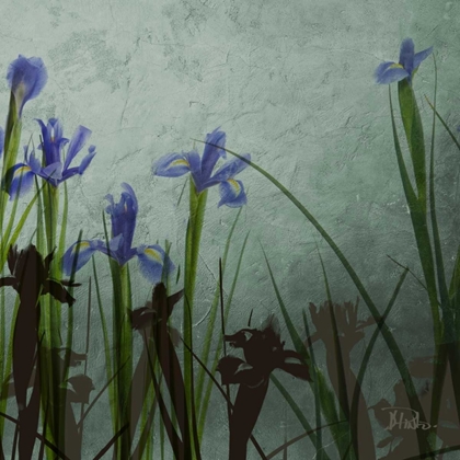 Picture of BLUE IRISES II