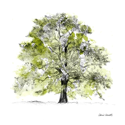Picture of TREE WITH GREEN LEAVES II