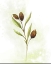 Picture of FRESH HERBS VI