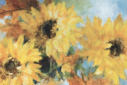 Picture of QUIET BREEZY SUNFLOWERS