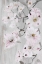 Picture of GREY DOGWOOD II