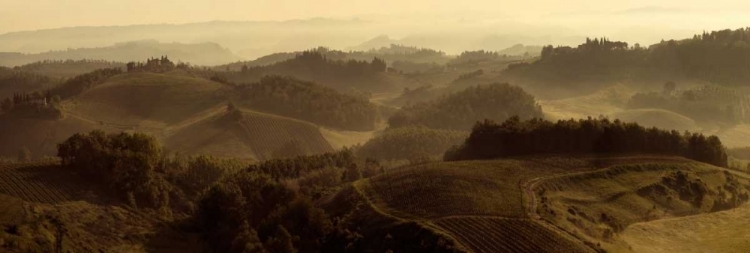 Picture of SUNRISE OVER TUSCANY