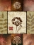 Picture of PRIMROSE II