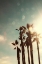 Picture of PALMS IN THE SUN