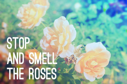 Picture of STOP AND SMELL THE ROSES