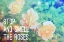 Picture of STOP AND SMELL THE ROSES
