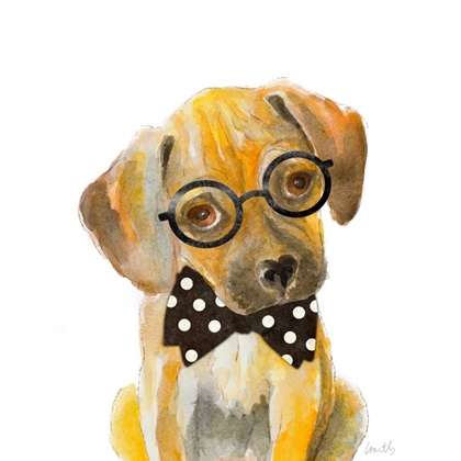 Picture of HIPSTER RETRIEVER PUPPY