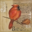 Picture of RED LOVE BIRDS II