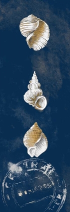 Picture of COASTAL SHELLS PANEL I