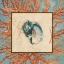 Picture of CORAL MEDLEY SHELL II