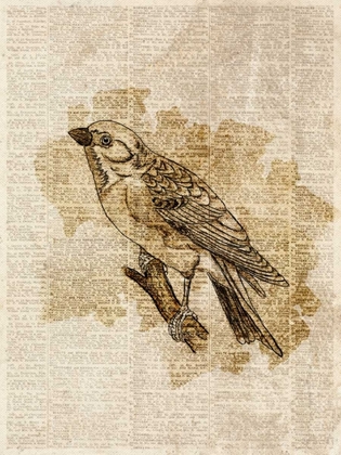 Picture of VINTAGE BIRD I