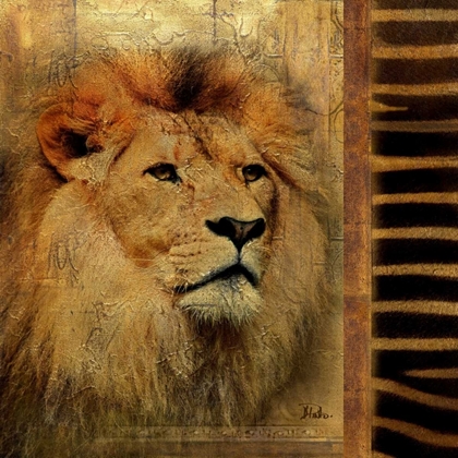 Picture of ELEGANT SAFARI IV  - LION
