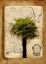 Picture of AMERICA I