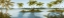 Picture of COOL TROPICS II