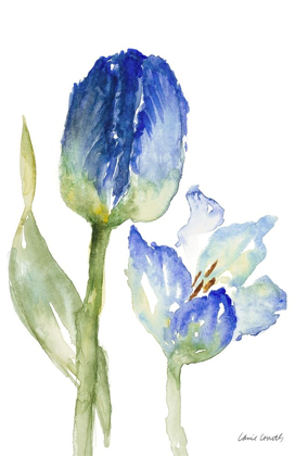 Picture of TEAL AND LAVENDER TULIPS I