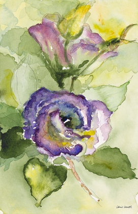Picture of WATERCOLOR LAVENDER FLORAL II
