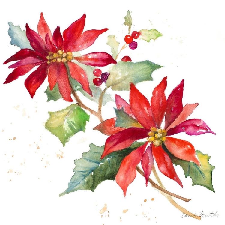 Picture of POINSETTIAS I