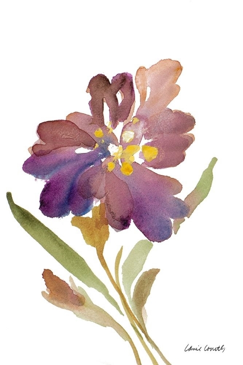 Picture of IRIS