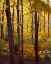Picture of SANCTUARY WOODS I