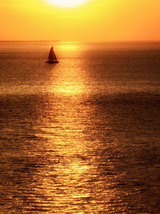 Picture of SAILBOAT AT SUNSET I