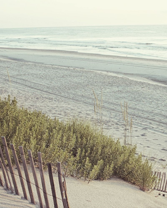 Picture of BEACH FENCE I