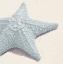 Picture of BLUE STARFISH